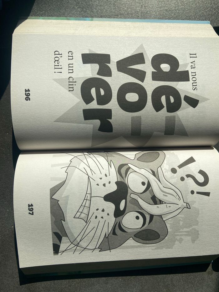 Livre coco catastrophe - photo numéro 4