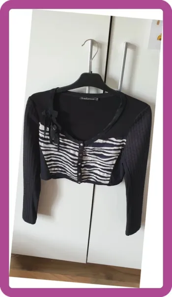 Blazer LMV