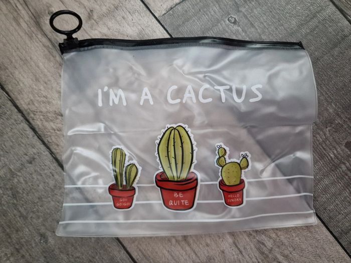 Pochette Cactus