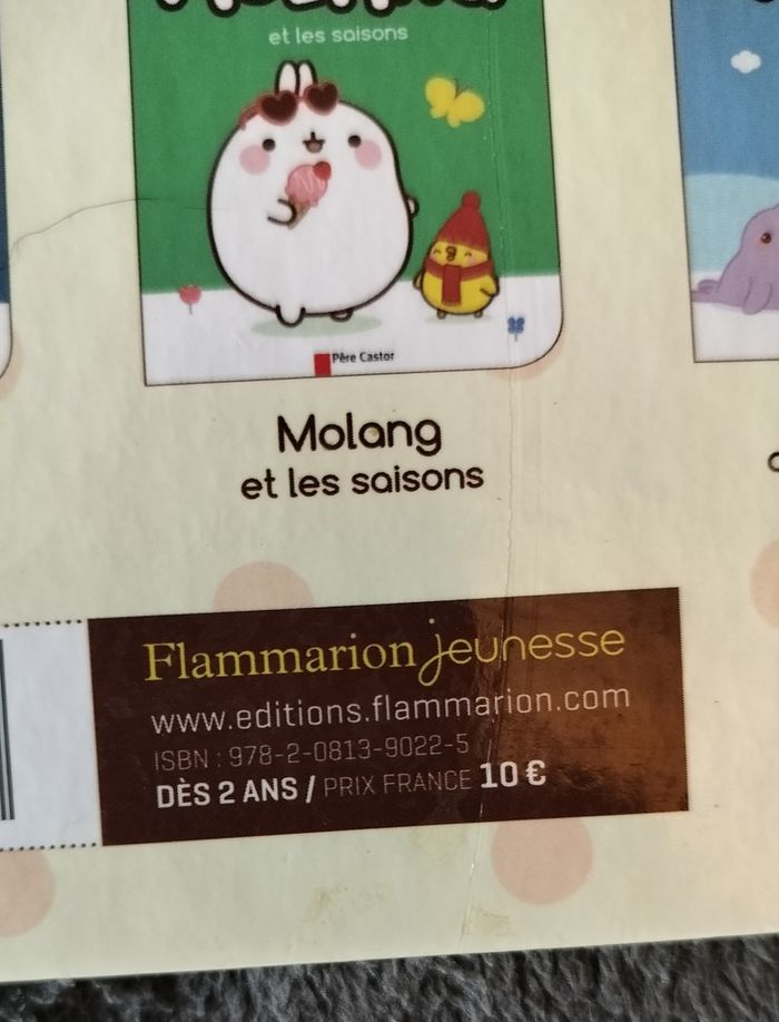 Livre histoire Molang et Piu Piu - photo numéro 2