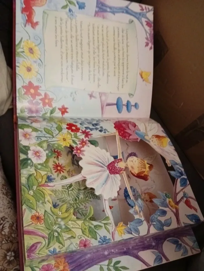 Livre "la ballerine et son rêve " - photo numéro 9