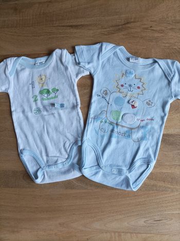 Lot 2 bodies 3 mois absorba