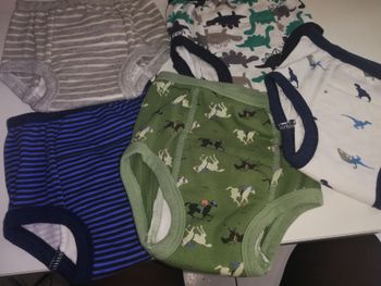 Lot culottes apprentissage