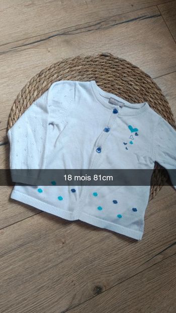 Gilet blanc et bleu orchestra 18 mois 81cm