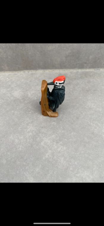 Oiseau Martin pêcheur