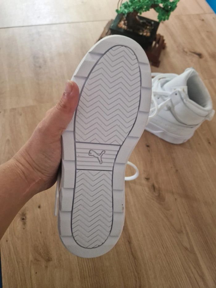 Puma neuve - photo numéro 3