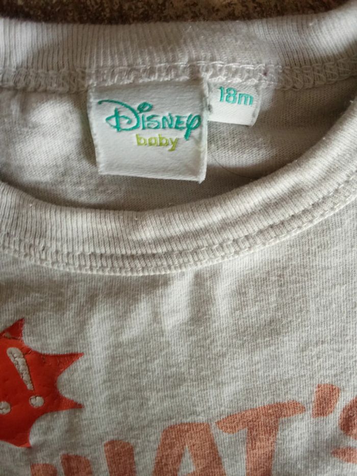 Lot de 2 tee short Disney baby Winnie l'ourson et Donald taille 18 mois - photo numéro 3