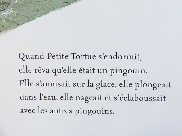 Album 4 à 6 ans : Tortue pingouin. (Valeri Gorbachev - L'école des loisirs) - photo numéro 5
