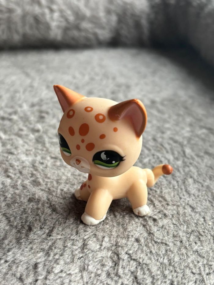 Chat petshop - photo numéro 3