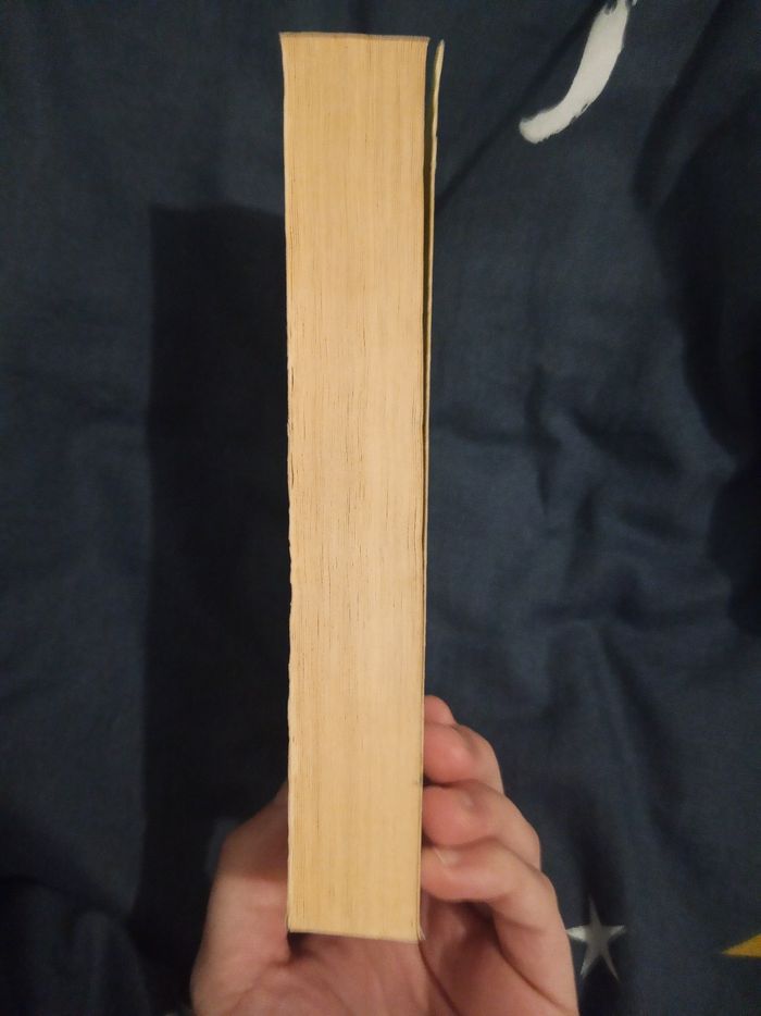 Livre (99) 📚 Le diable s'habille en prada - photo numéro 4