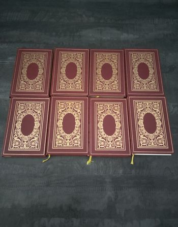 Lots de 8 livres anciens de serge grafteaux 🍀 les ducs de Bourgogne 🍀tomes  1 à 8 🍀