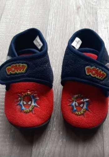 Chanson Spider-Man