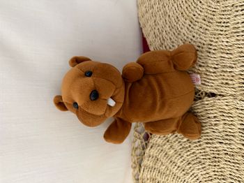 Peluche publicitaire Castor EVIAN marron