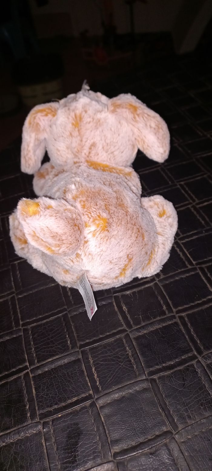 Chien doudou - photo numéro 4