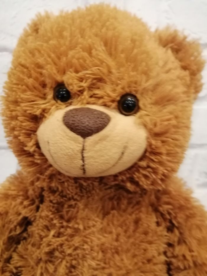 Très beau nounours marron - photo numéro 2