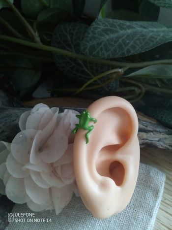 Clip oreille grenouille verte
