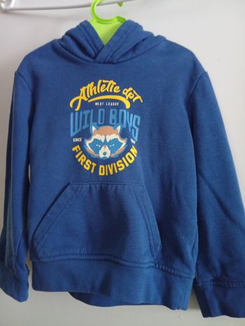 Sweat à capuche