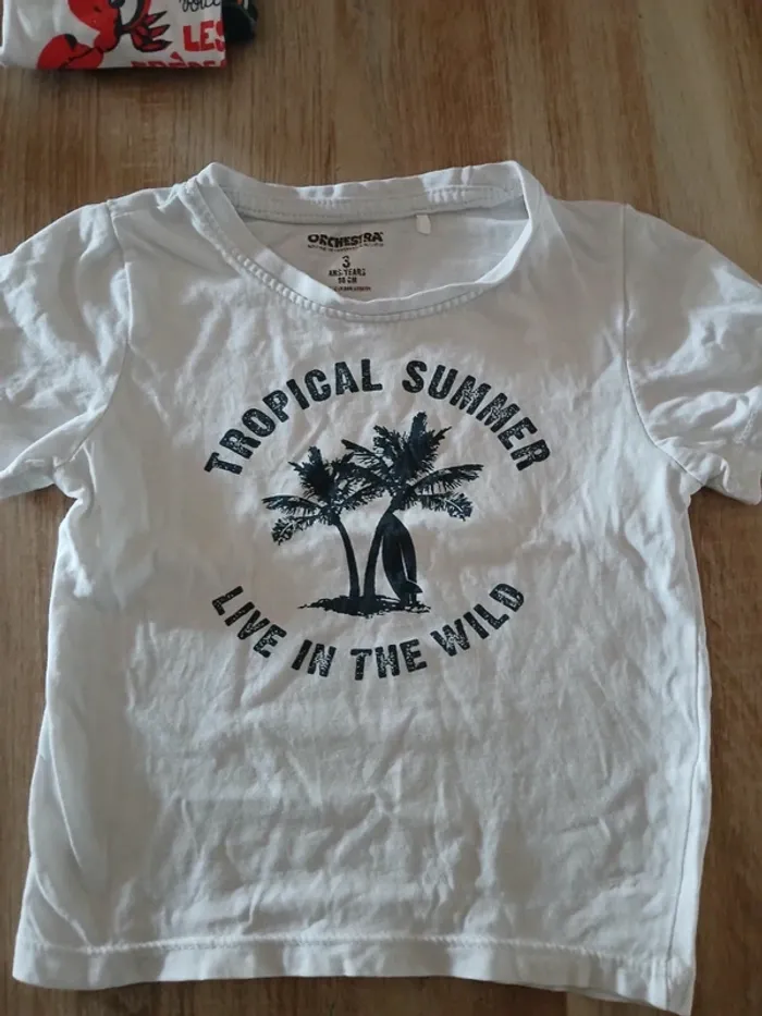 Lot de 5 Tee-shirts 3 ans - photo numéro 6