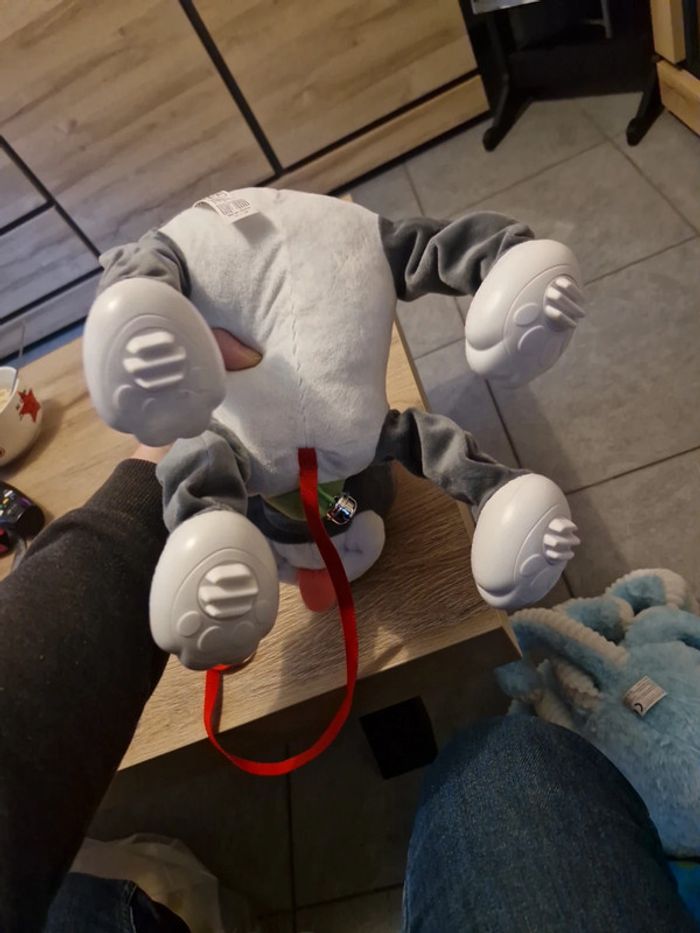 Chien a tirer - photo numéro 4