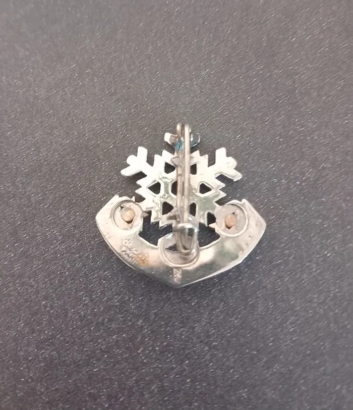 Broche flocon ESF 2 étoiles école de ski française - photo numéro 2