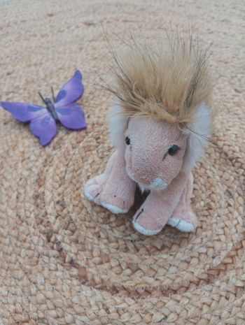 Doudou lion