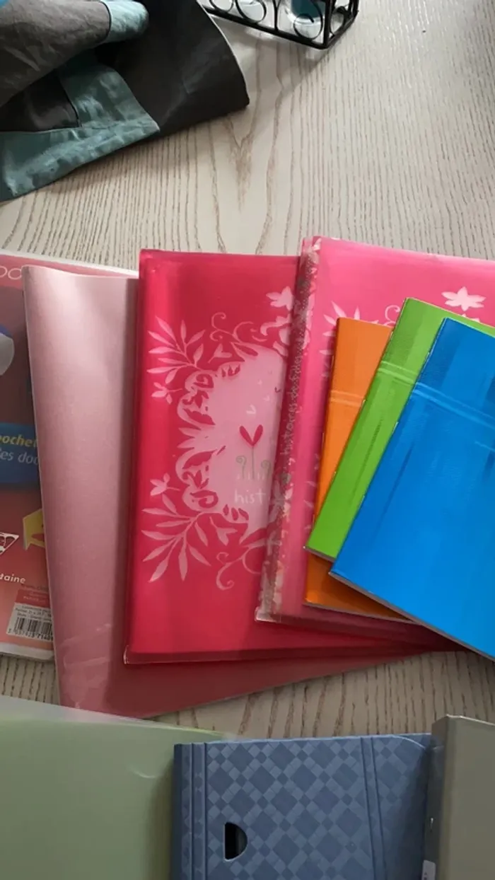 gros lot scolaire classeurs cahiers porte vue etc - photo numéro 5