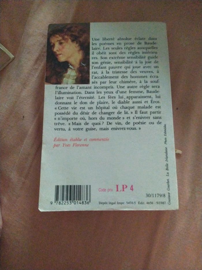 Spleen Baudelaire - photo numéro 2