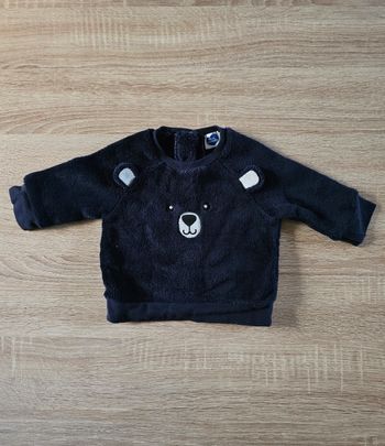 Pull Polaire