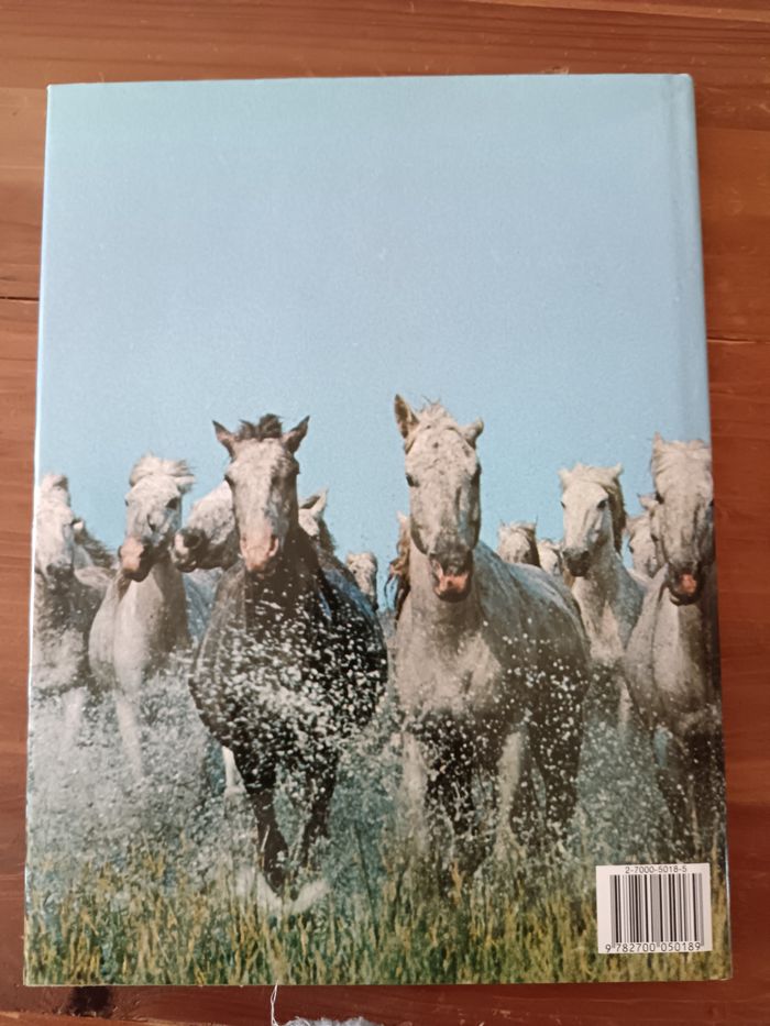 La passion des chevaux - photo numéro 2