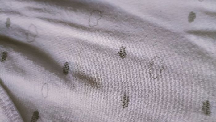 Lot bodies - photo numéro 2