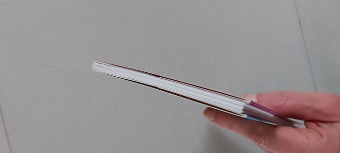 Les sisters Tome 14 Les sisters-l'ermite - photo numéro 5