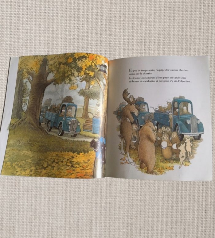 Livre - photo numéro 2