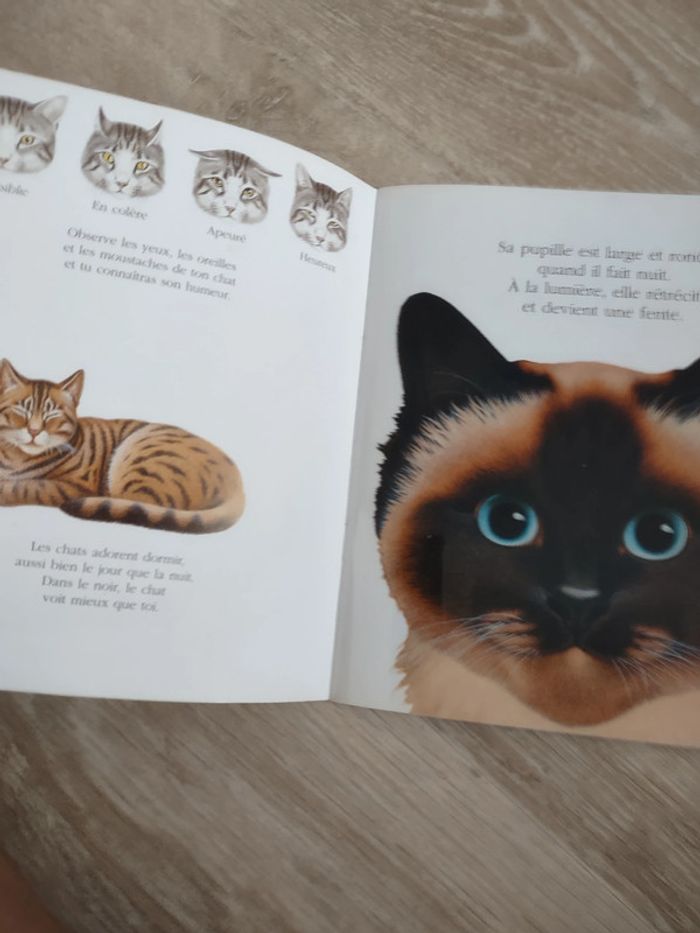 Mes livres magiques Cache cache avec les chats et les félins - photo numéro 2