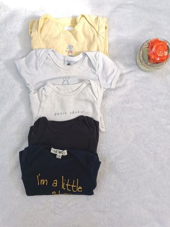 Lot de 5 bodies manche longues 12 mois