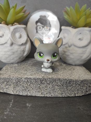 My Littlest Petshop Pet Shop LPS chien corgi hasbro 367 dog #geektradelpschien