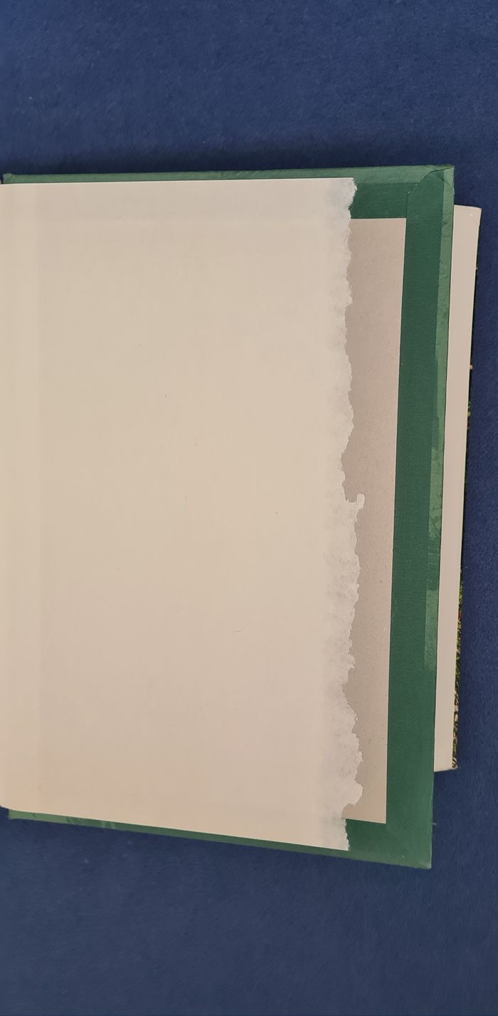 Le jardin des Henderson - Catherine Hermary-Vieille - photo numéro 7