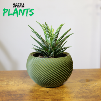 Jardinière Pot de Fleurs – Style Géométrique & Organique