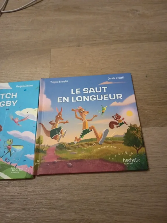 Vends livre sportif - photo numéro 3
