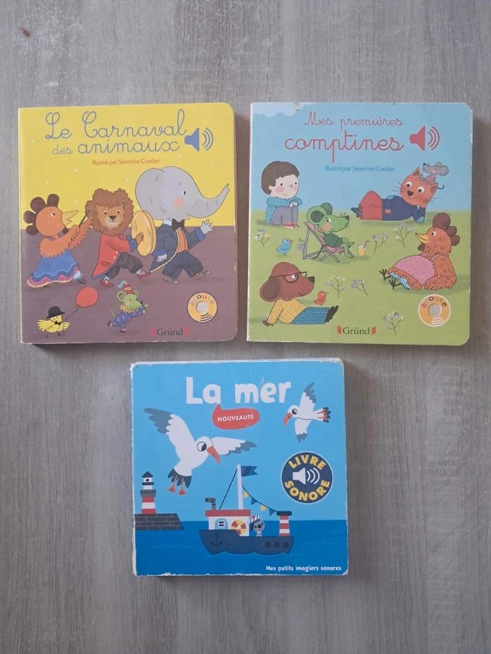 Lot de livres sonore