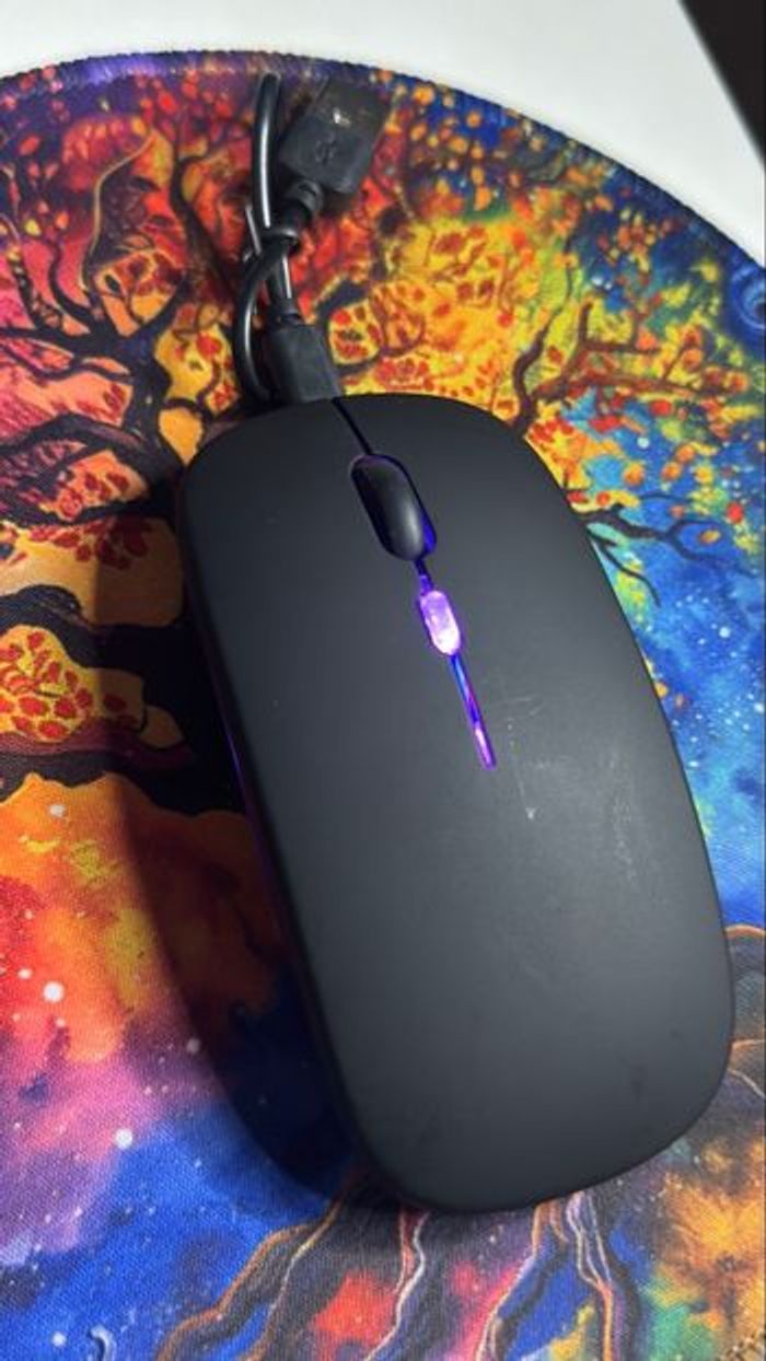 Souris BalanceFit totalement neuf, jamais utilisée.