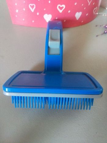 Brosse chien