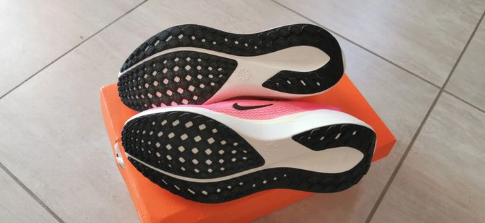 Pegasus 41 cm - photo numéro 2