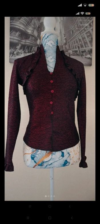 Haut + Boléro t 36 , prune pailleté