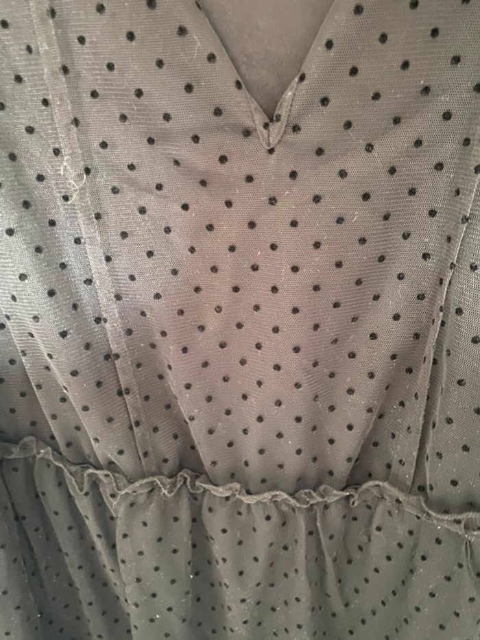 Robe plumetie - photo numéro 2