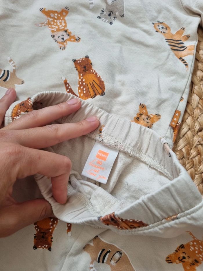 Ensemble 80cm - photo numéro 2