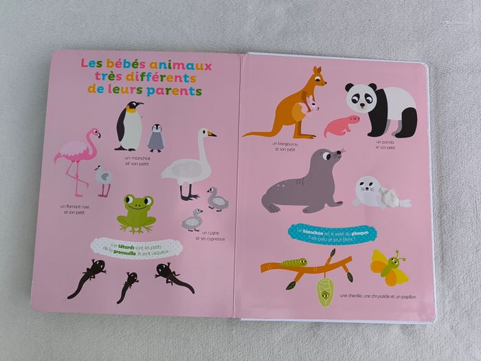 Livre Mes premiers bébés animaux à toucher Auzou - photo numéro 7