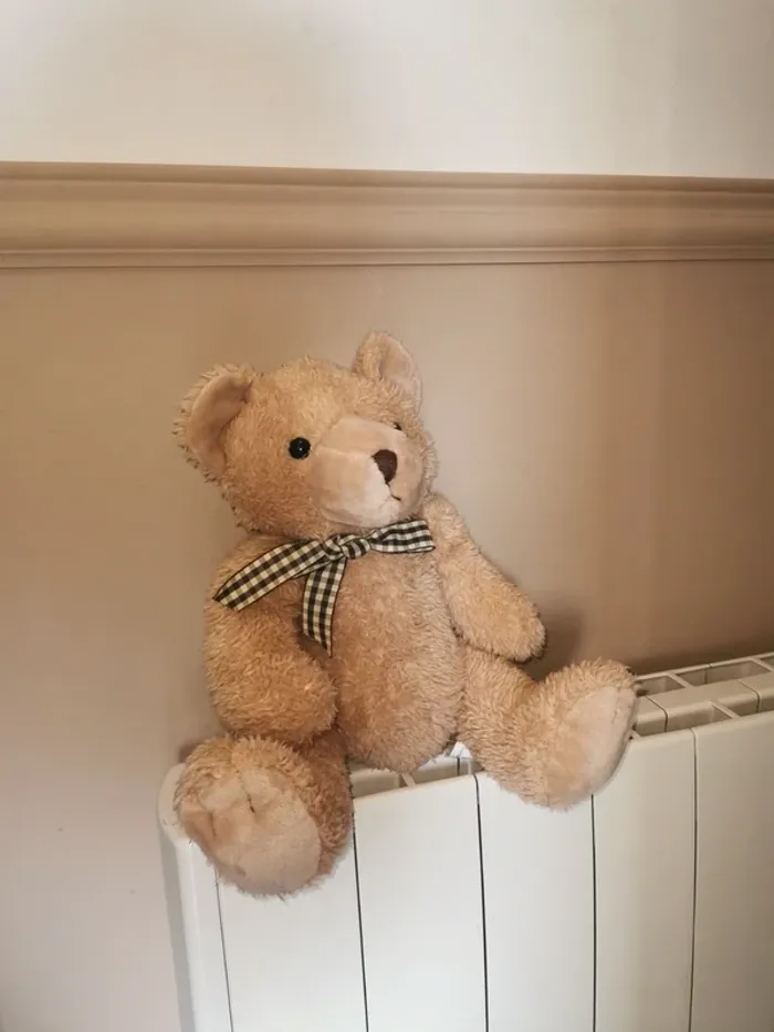 Ours peluche tout doux.