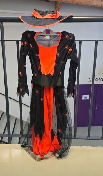 Déguisement de Sorcière