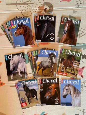 Lot 22 revue cheval magazine