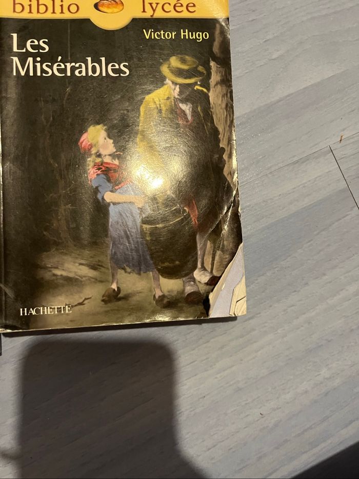 Lot de 2 livre ( Victor Hugo) - photo numéro 2